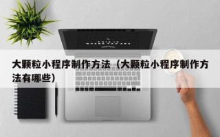 漯河大颗粒小程序制作方法（大颗粒小程序制作方法有哪些）