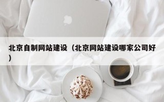 漯河北京自制网站建设（北京网站建设哪家公司好）